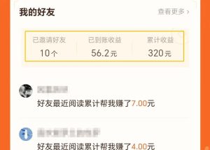 图片[11]-天羊共创分享：日入300+的板砖项目，无脑操作玩法-天羊共创