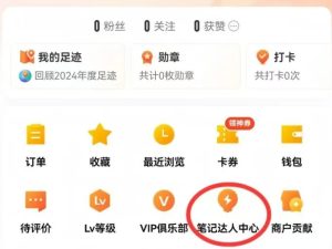图片[2]-天羊共创软件分享：无脑搬运玩法，一天变现￥1500+-天羊共创